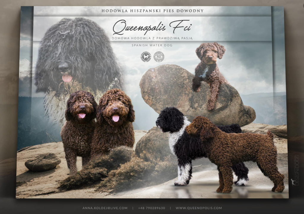 service single images